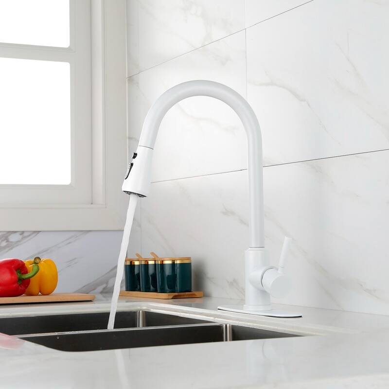 Pull Out Spray Kitchen Faucet