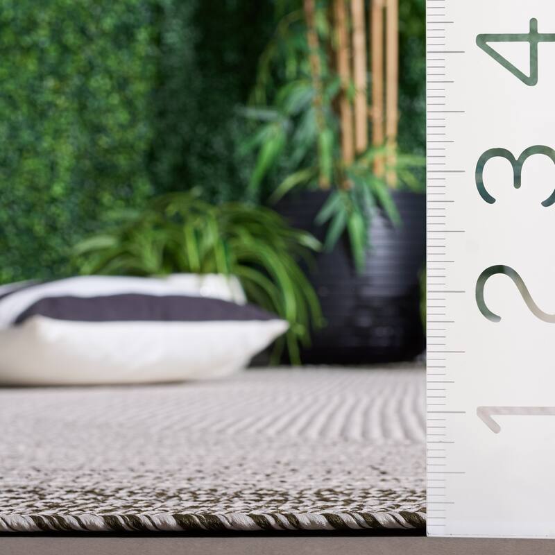 SAFAVIEH Handmade Braided Eiry Washable Indoor/Outdoor Rug - Weather Resistant & Easy Cleaning