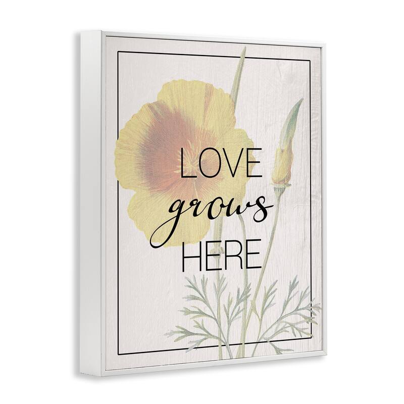 Stupell Vintage Love Grows Here Framed Giclee Art Design By Lil' Rue