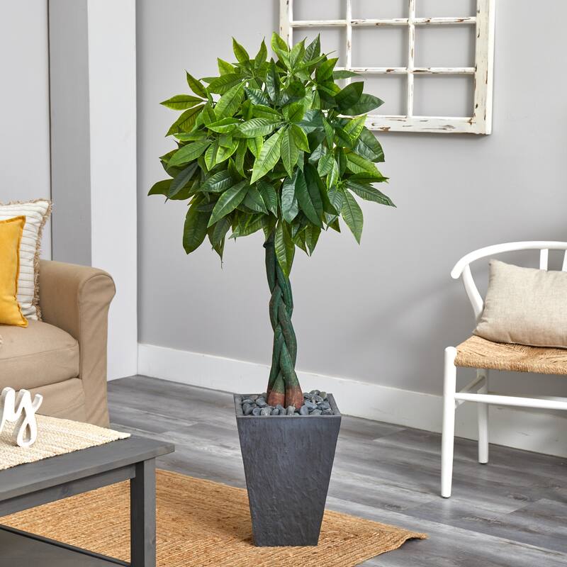 5ft Money Artificial Tree in Slate Planter with Real Touch Lush Green Leaves and Braided Trunk for Office or Home - 51-60 Inches