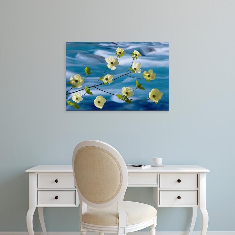 Easy Art Prints Jaynes Gallery's 'Pacific Dogwood Blossoms Against Rapidly Flowing Stream' Premium Canvas Art