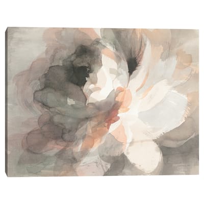 Abstract Peony Crop by Danhui Nai Canvas Art Print