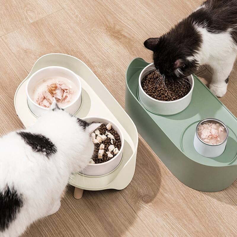 Double Bowl Ceramic Bowl Feeder Set, White