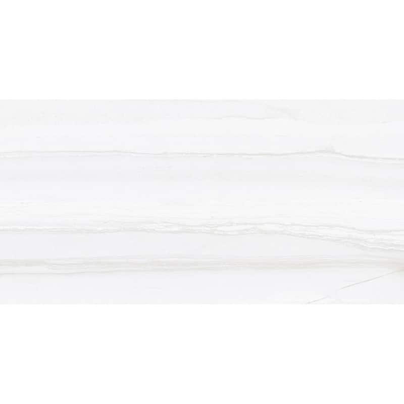 The Tile Life Tampa 12x24 Grey Porcelain Floor & Wall Tile