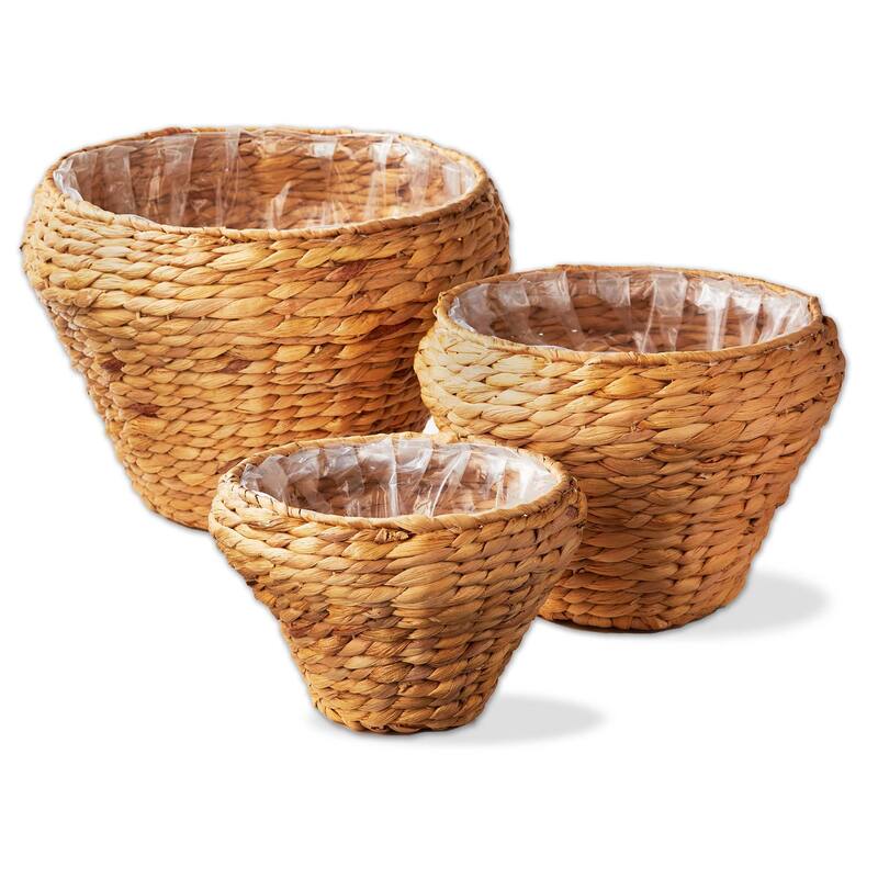 Westport Hyacinth Planter, Set of 3