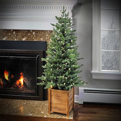4' Led Potted Ornamental Pine Tree