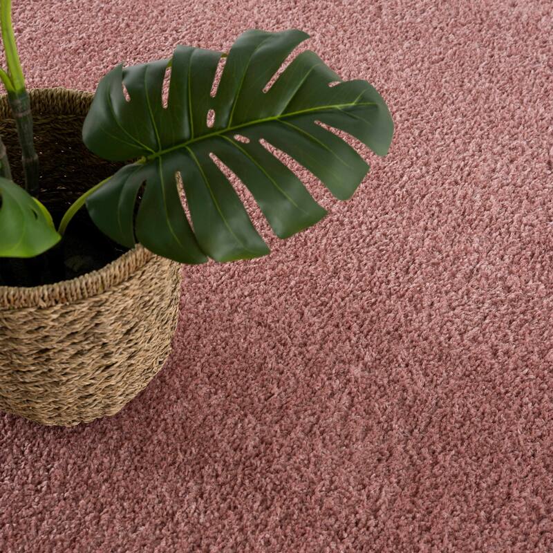 Judy Area Rug