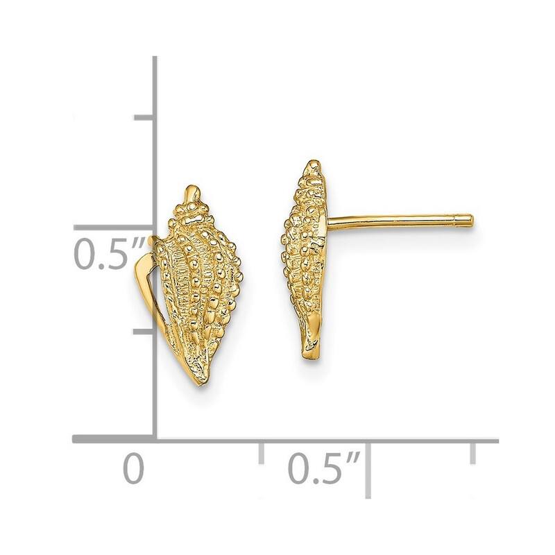 Curata 14k Yellow Gold Mini Conch Shell Post Earrings With Open Side - 11.45x6.2mm Wide