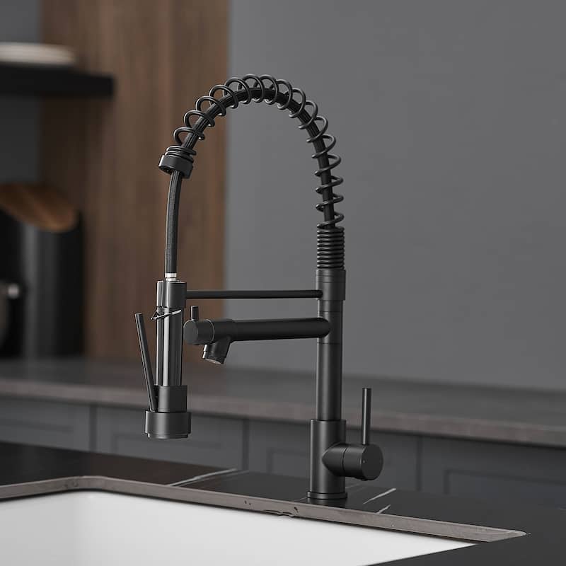 Modern Pull-out Spray Head Single Handle Kitchen Faucet
