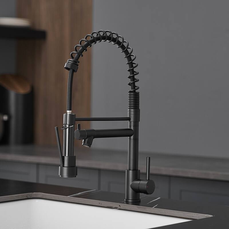 Single Handle Stainless Steel Pull Down Kitchen Faucet - Black