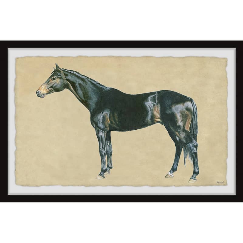 Born to Ride Framed Print