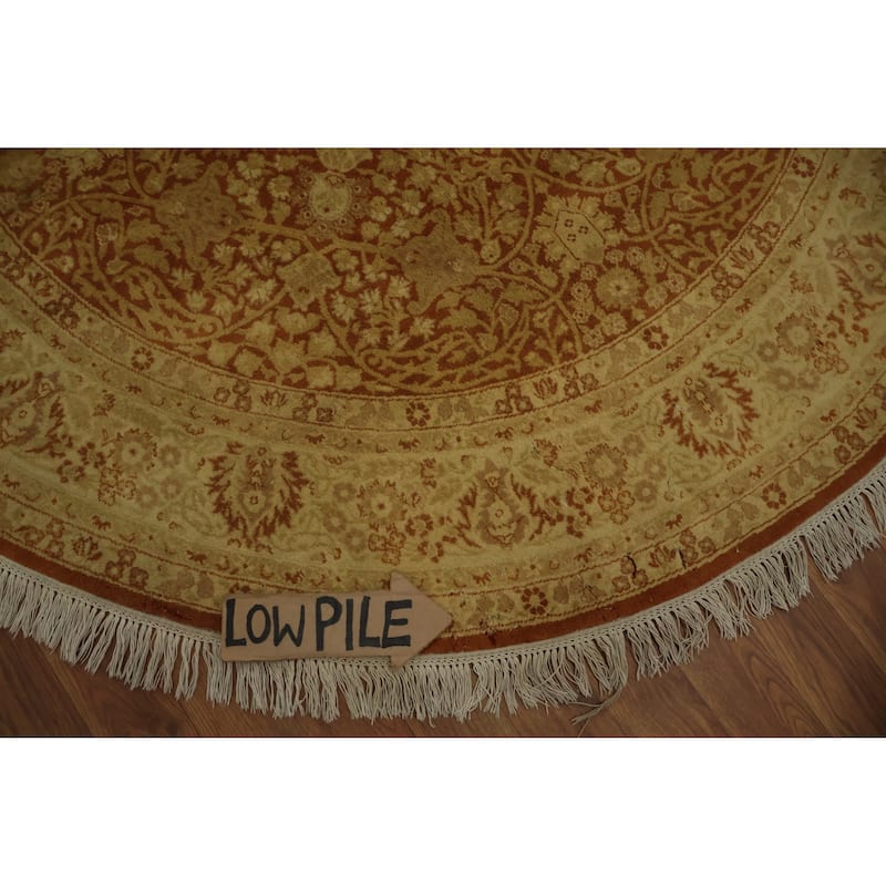 Hand Knotted Oriental 100% Wool Carpet Traditional All-Over Oranges & Rust Ziegler Area Rug - 5' 2'' X 5' 2''