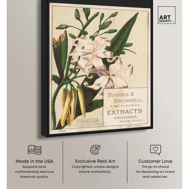 Vanilla Planifolia Canvas by Art Remedy
