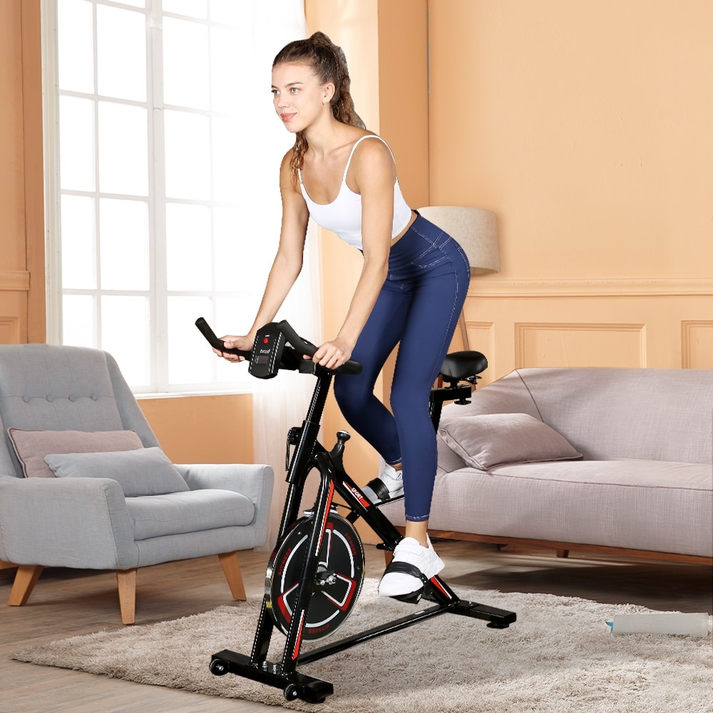 You received $250 for a stationary bike 2025