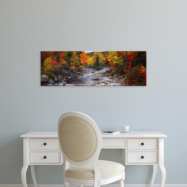 Easy Art Prints Panoramic Images's 'Stream with trees in a forest in autumn, Nova Scotia, Canada' Premium Canvas Art