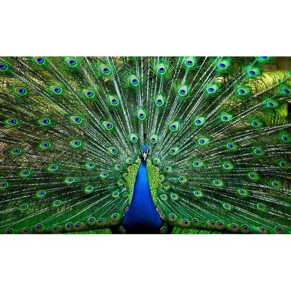 slide 2 of 4, Peacock Plume Wild Zoo Animal 1000 Piece Jigsaw Puzzle