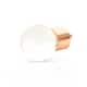 Option Polished Rose Gold