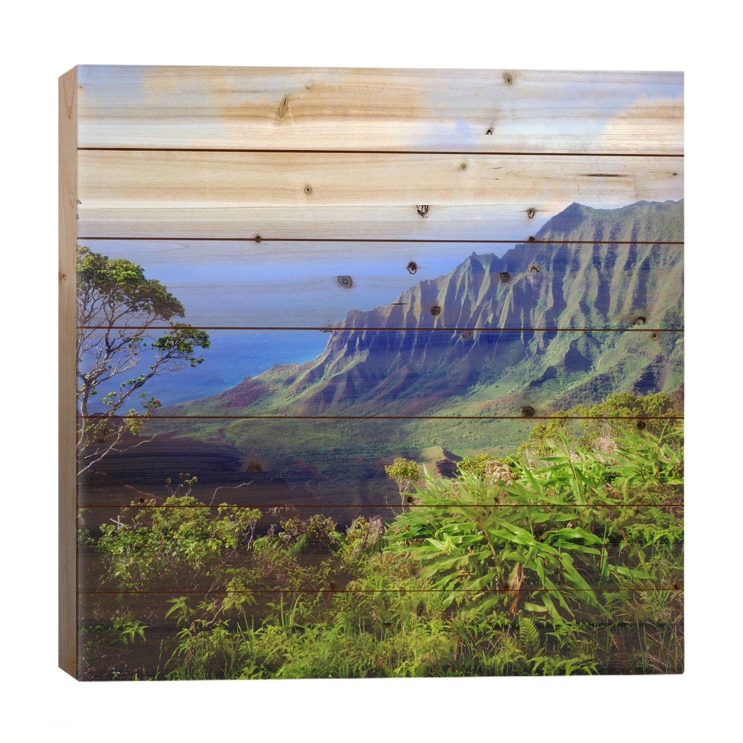 Overview Of The Kalalau Valley, Na Pali Coast State Park, Kaua'i, Hawai'i, USA Print On Wood by Christopher Talbot Frank
