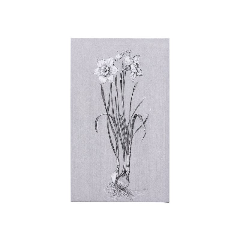 Botanical Sketches II (Grey) (21 x 35) Canvas Art Print - Small