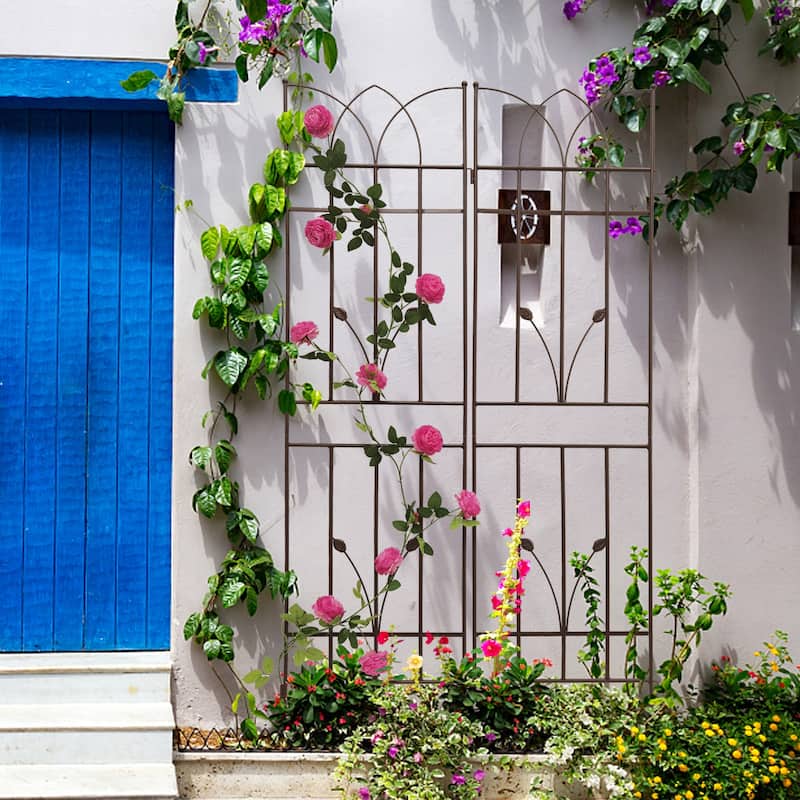 4 Pack Metal Garden Trellis for Climbing Plants