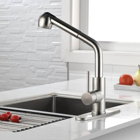Single-Handle Pull-Out Sprayer Kitchen Faucet in Stainless