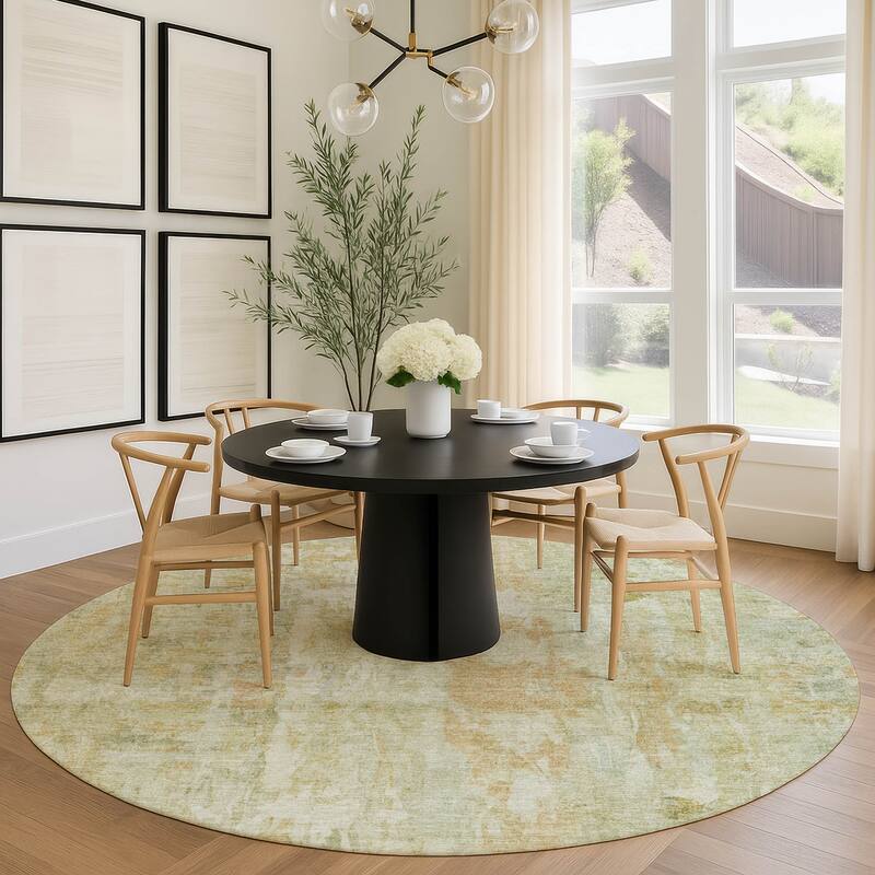 Machine Washable Indoor/ Outdoor Muted Ombre Chantille Rug