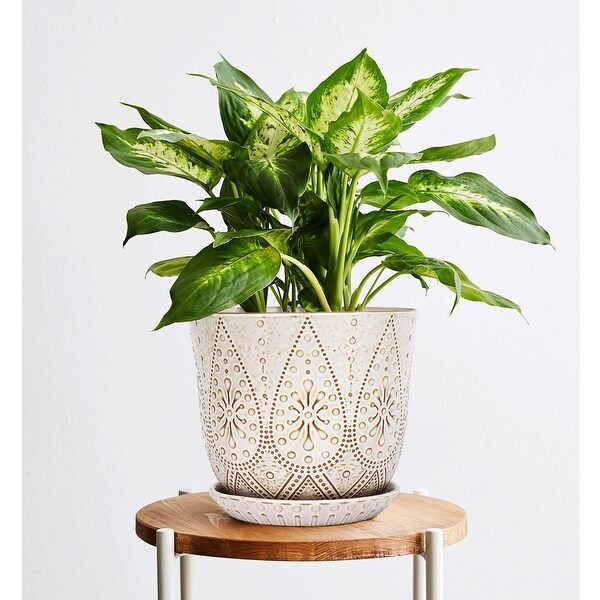 フラワー・ガーデニング P-CHAMBER.SRLMEX-S P-P POT neighborhood 8 Inch Plant Pot, Creamy White Ceramic Planter with Drainage Holes