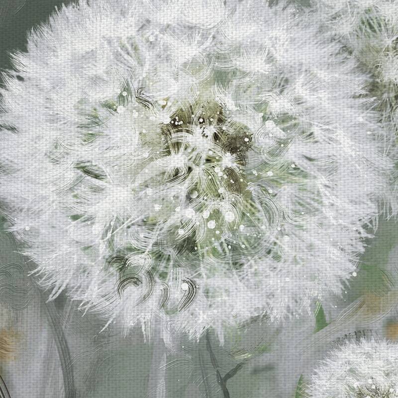 Wild Wishes by Studio Arts Canvas Art Print