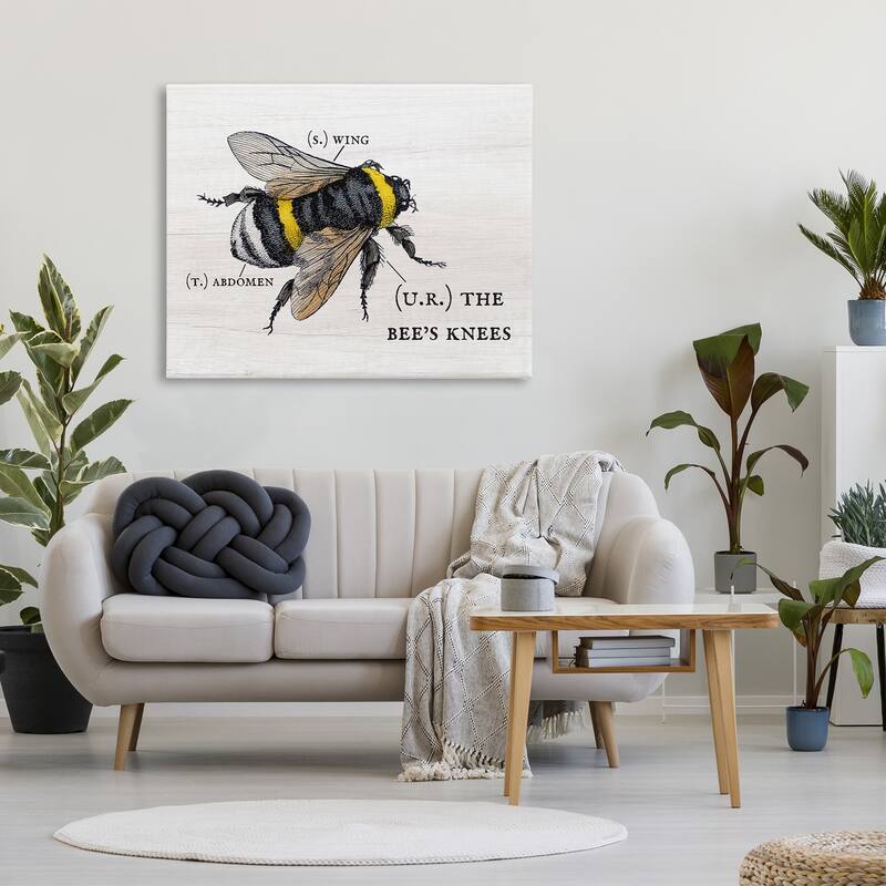 Stupell Anatomy of Honey Bee Pun Charming Bee's Knees Canvas Wall Art