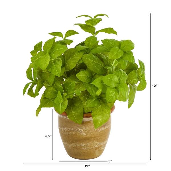 fire pink plant Silene virginica