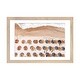 preview thumbnail 10 of 18, iCanvas "Umbrellas on Beach V" by Radu Bercan PFA Natural - 16x24x1