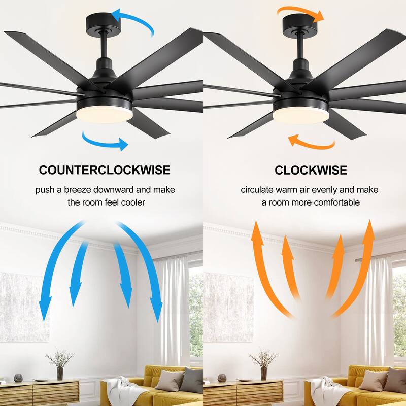 65 Inch Black Morden LED Ceiling Fan with Light Remote(8-Blade)