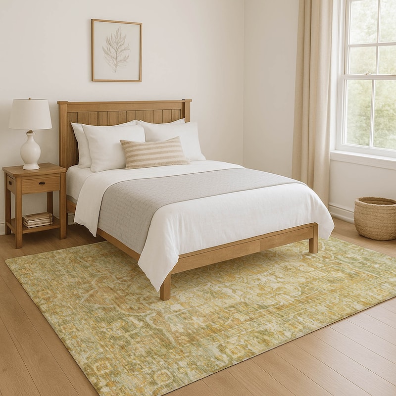 Premium Washable Super Soft Vintage Traditional Mayfield Rug