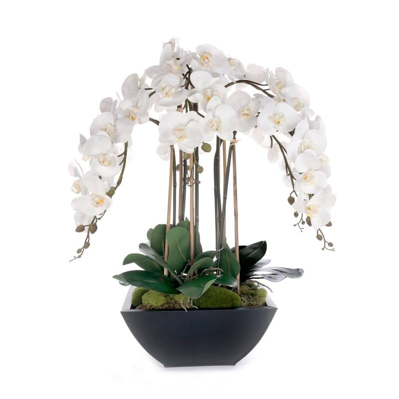 Real Touch White Orchids Flower Arrangement in Black Pot
