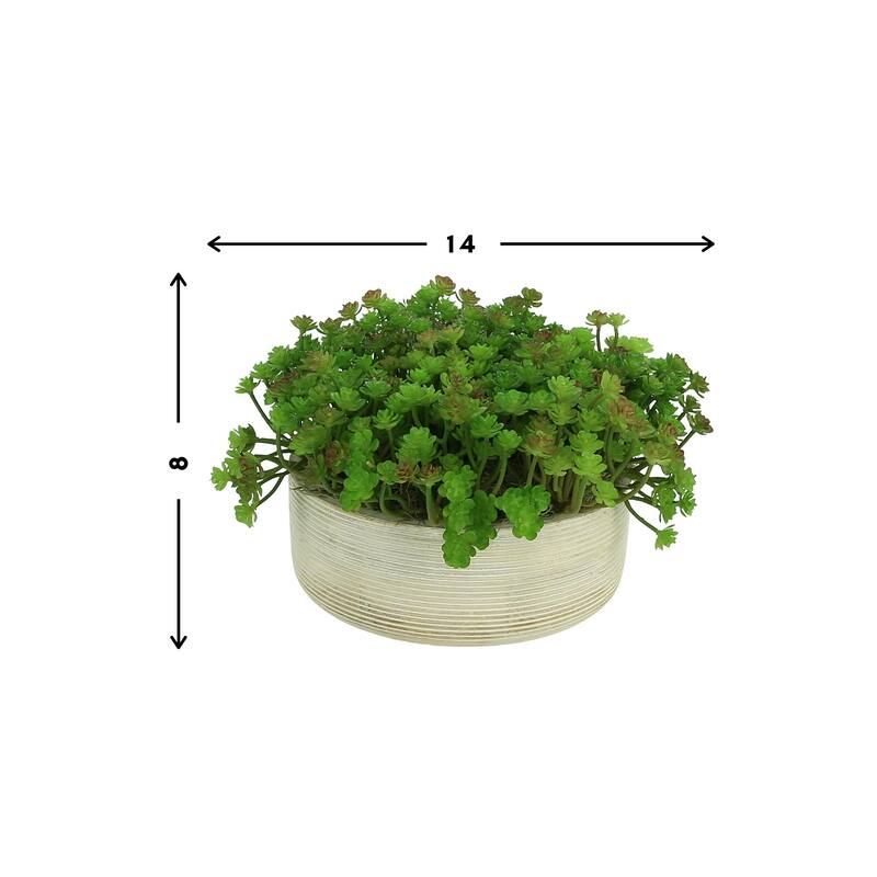 Cactus in Round Wood Bowl - Green