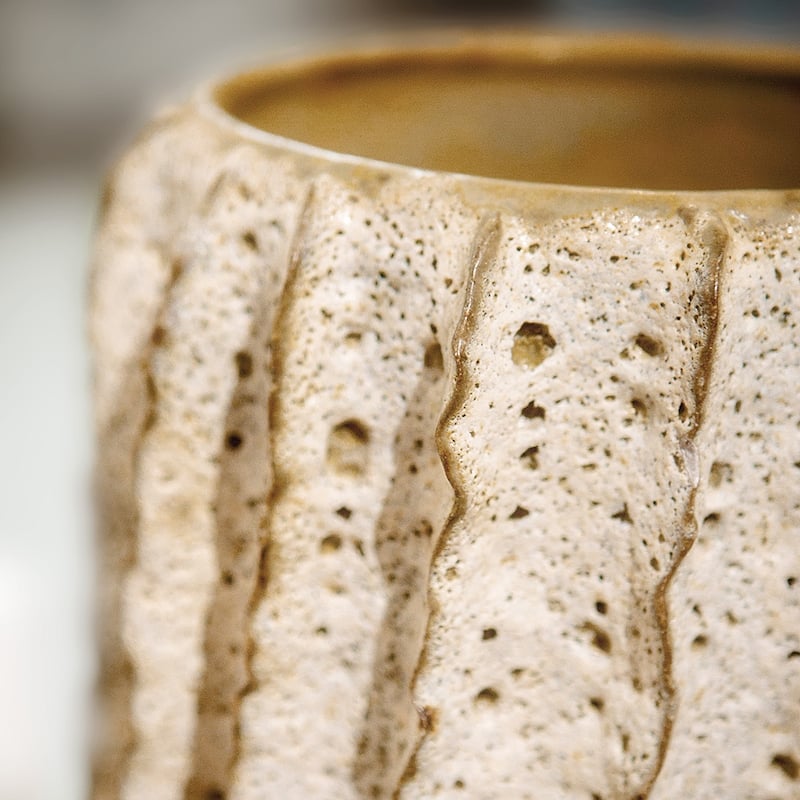 Currey & Company Sunken Boat Moss White Medium Vase