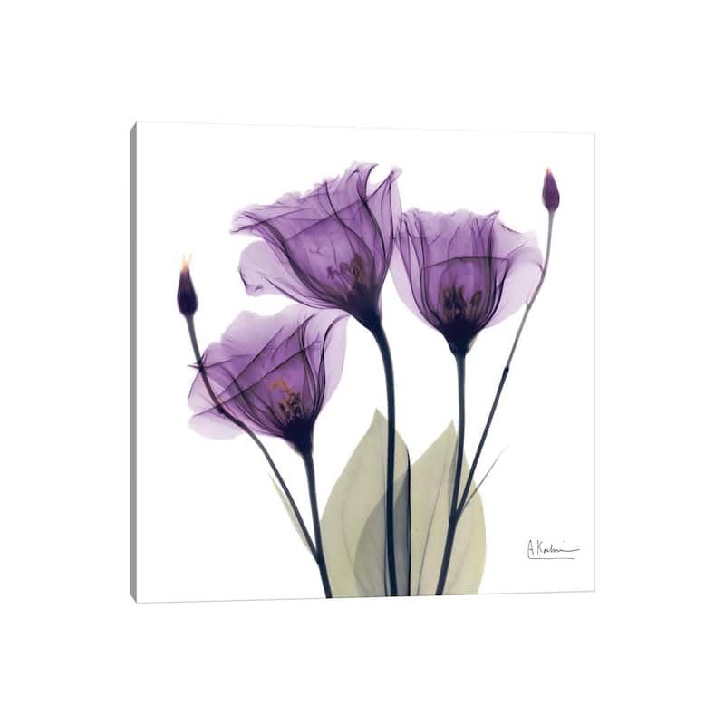 iCanvas "Gentian Hope" by Albert Koetsier Canvas Print