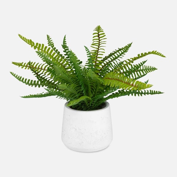 slide 2 of 3, Uttermost Boston Fern In White Ceramic Pot