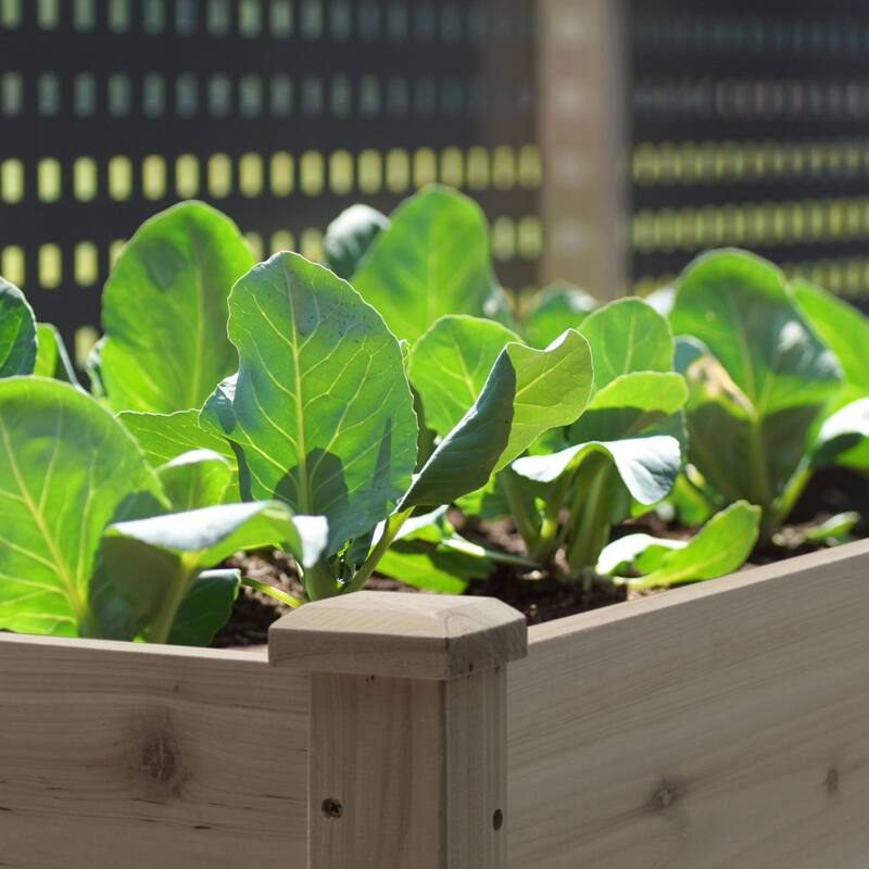 VEIKOUS Raised Garden Bed Outdoor, 6.8 Cu.Ft Large Planting Space, Solid Cedar Wood Planter Box