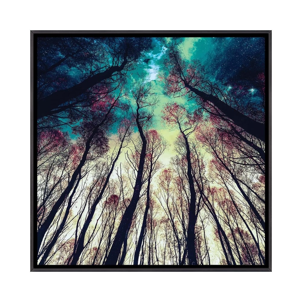 iCanvas "Nordic Lights" by Riza Peker Framed