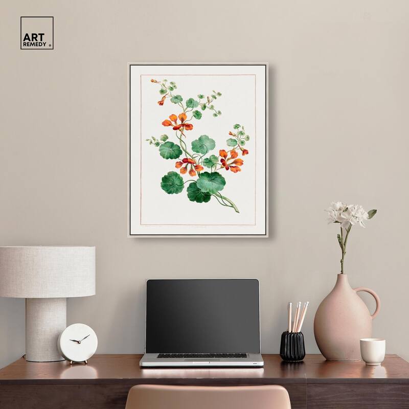 Nasturtium (1788) Canvas by Art Remedy