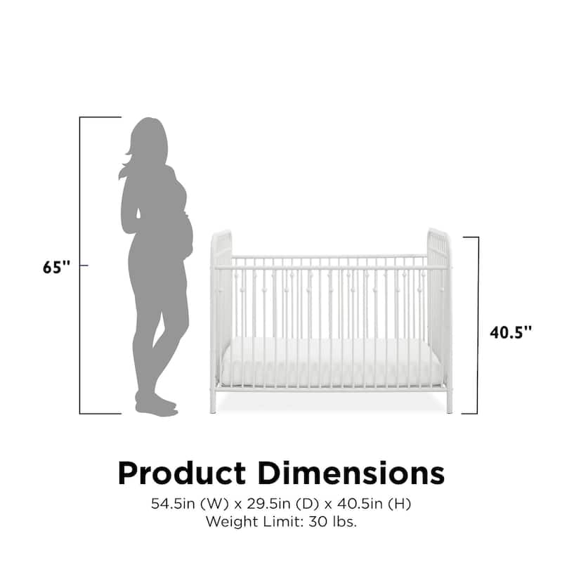 Little Seeds Monarch Hill Ivy Metal Crib - N/A