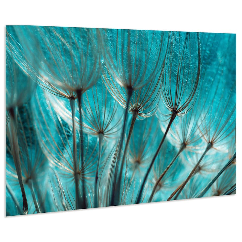 Dandelion Frameless Tempered Art Glass Wall Art - Multi-color