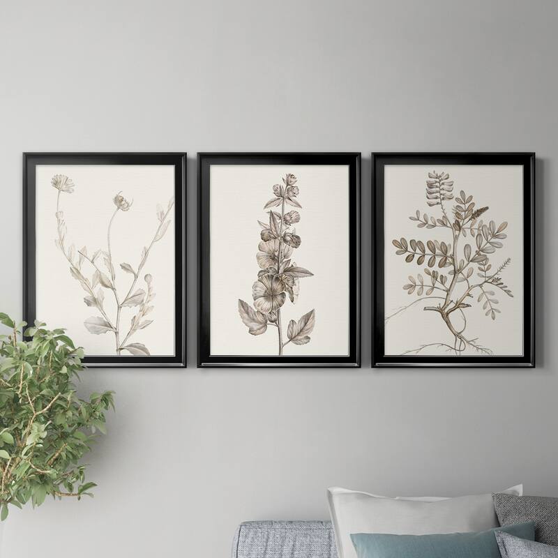 Neutral Botanical Study IV Premium Framed Canvas - Ready to Hang - Multi-Color