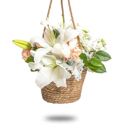 Hanging Planter Pots, Woven Plant Basket (8 x 6 Inches)