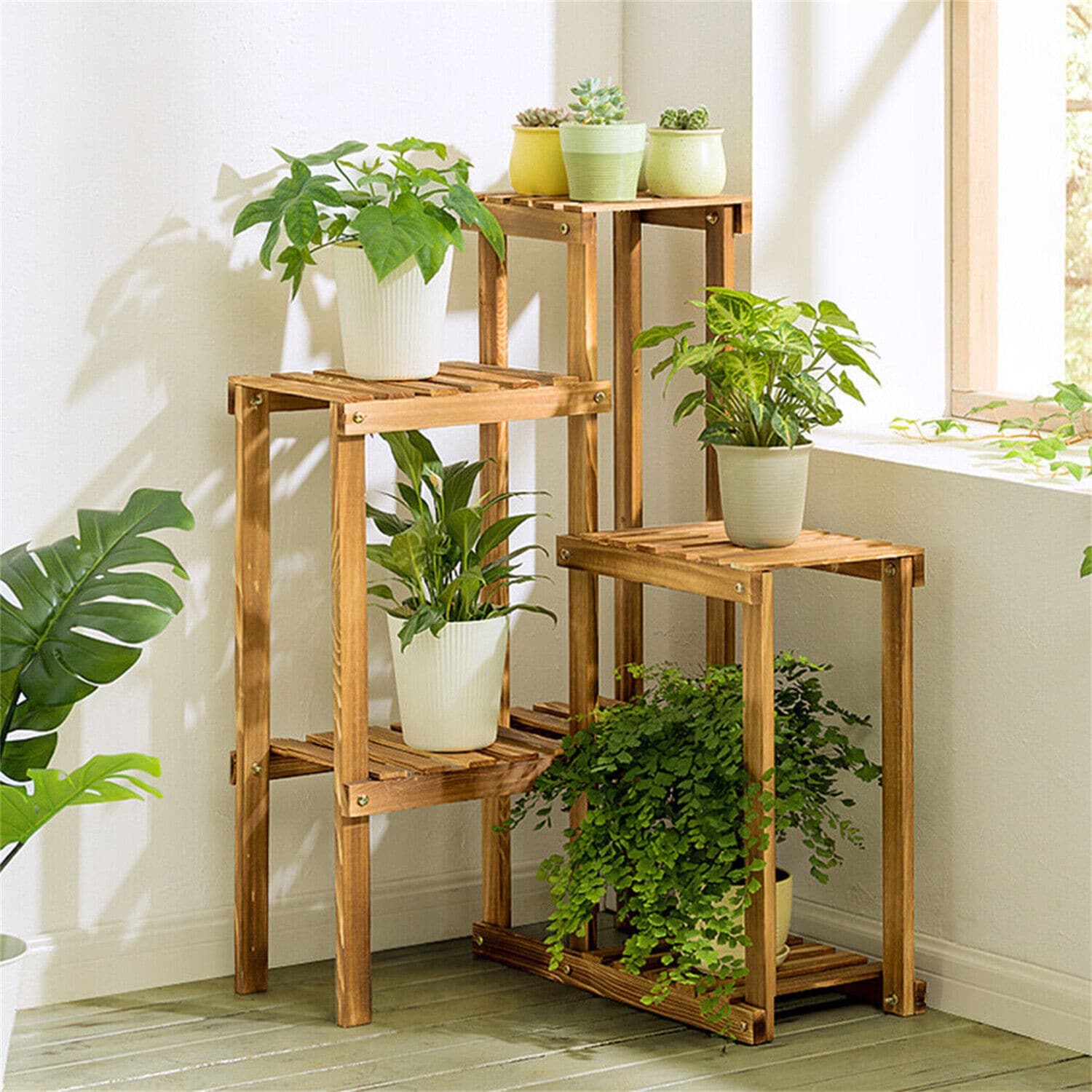 Wooden bonsai store display stand