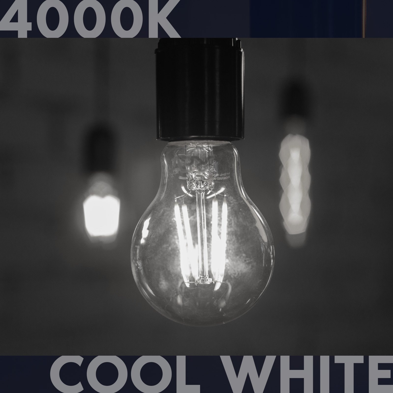 Vintage led store bulbs 100 watt