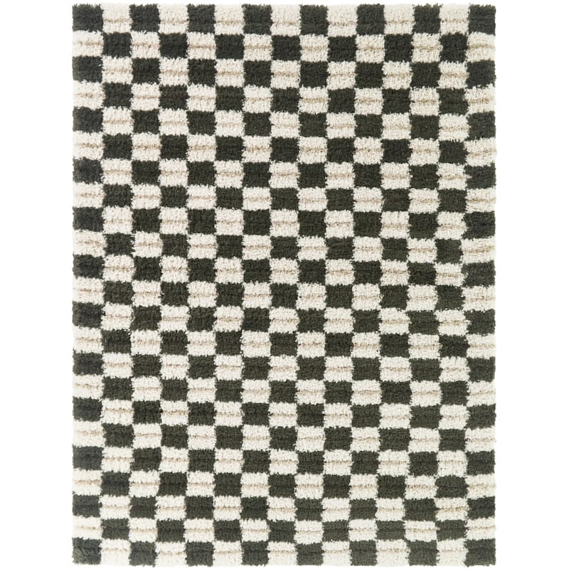 Bateman Modern Checkered Shag Area Rug