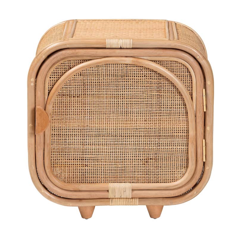 Keita Bohemian Natural Rattan and Mahogany Wood Nightstand