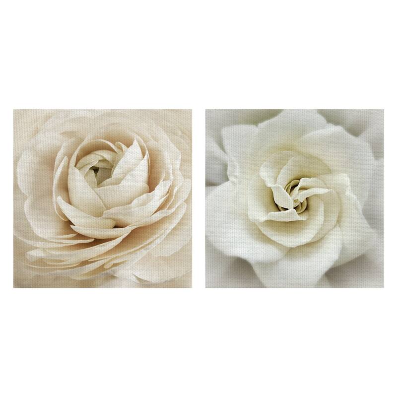 Dream, Faded Gardenia by Rebecca Swanson Canvas Art Prints